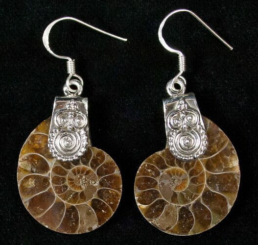 Fossil Ammonite Earrings - Sterling Silver #16557